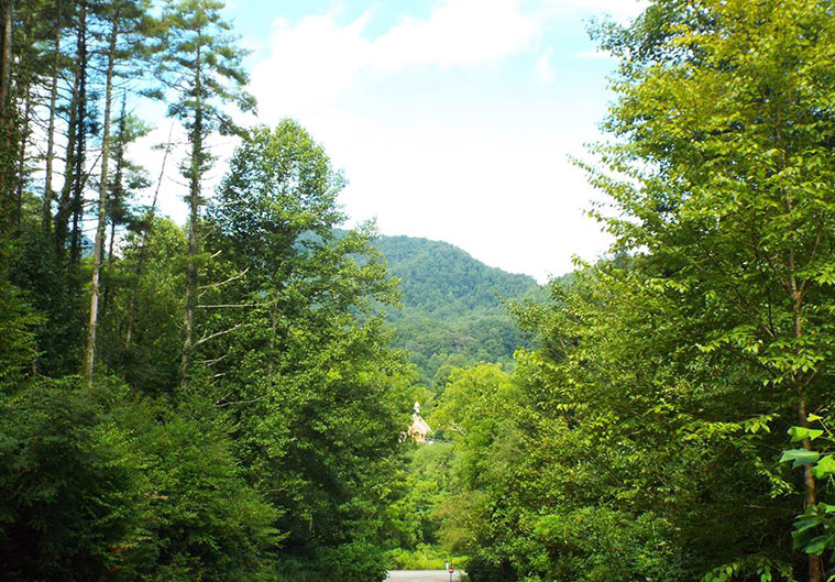 cullowhee nc foreclosure for sale