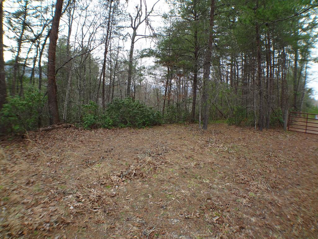 Land & Acreage For Sale Real Estate Listings Keller Williams Realty