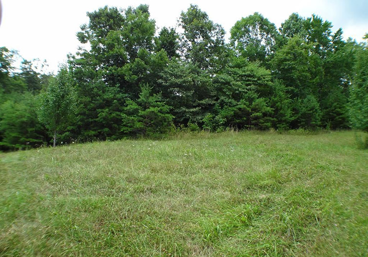 franklin nc land for sale evelyn owens