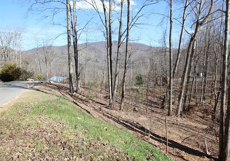 Acreage For Sale Topton NC