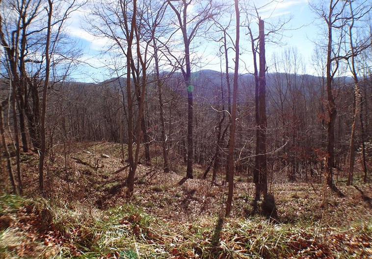 Land For Sale Franklin NC